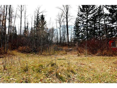 37054 River Road, Rural Red Deer County, AB - Outdoor With View