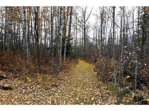 37054 River Road, Rural Red Deer County, AB - Outdoor With View