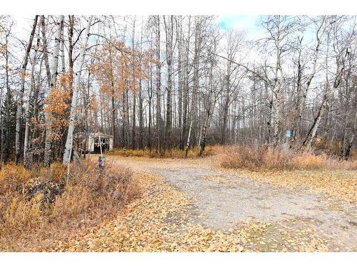 37054 River Road, Rural Red Deer County, AB - Outdoor With View