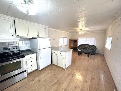 205 Lady Helen Avenue West, Galahad, AB - Indoor Photo Showing Kitchen