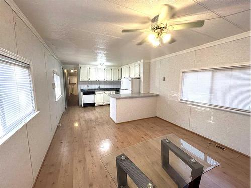 205 Lady Helen Avenue West, Galahad, AB - Indoor Photo Showing Kitchen