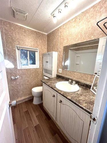 205 Lady Helen Avenue West, Galahad, AB - Indoor Photo Showing Bathroom