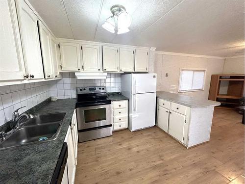 205 Lady Helen Avenue West, Galahad, AB - Indoor Photo Showing Kitchen With Double Sink