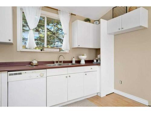 8 Sunnyside Drive, Rural Ponoka County, AB - Indoor Photo Showing Kitchen With Double Sink