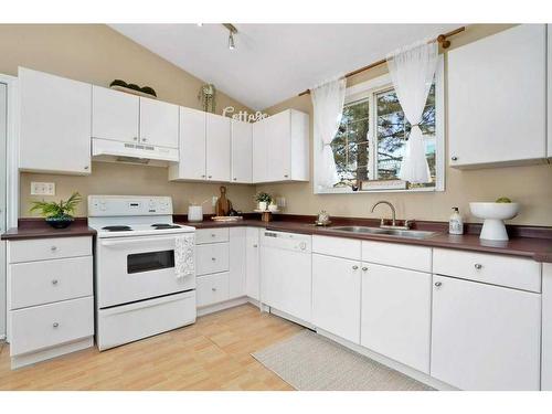 8 Sunnyside Drive, Rural Ponoka County, AB - Indoor Photo Showing Kitchen With Double Sink