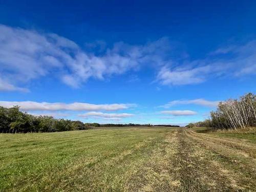 On Township Road 454, Rural Flagstaff County, AB 