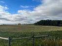 On Township Road 454, Rural Flagstaff County, AB 