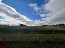 On Township Road 454, Rural Flagstaff County, AB 