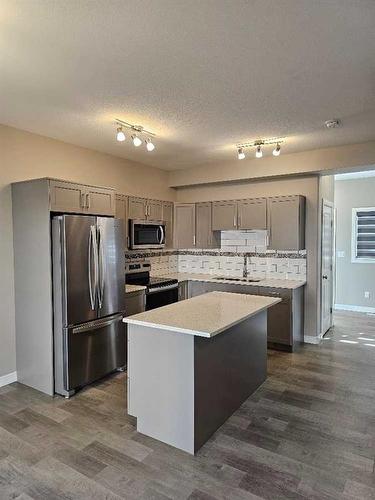 202-148 Vanier Drive, Red Deer, AB - Indoor Photo Showing Kitchen