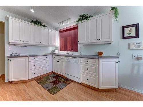 13 Northey Avenue, Red Deer, AB - Indoor Photo Showing Kitchen