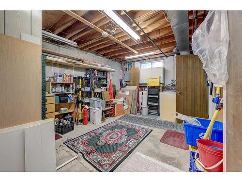 13 Northey Avenue, Red Deer, AB - Indoor Photo Showing Basement