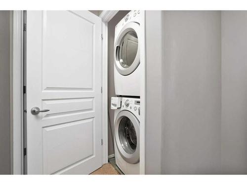 812-339 Viscount Drive, Red Deer, AB - Indoor Photo Showing Laundry Room