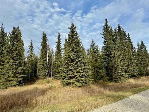 362016 Range Road 7-2, Rural Clearwater County, AB - Outdoor With View