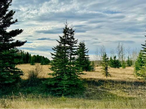 362016 Range Road 7-2, Rural Clearwater County, AB - Outdoor With View