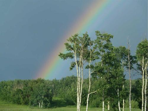 11-420069 Range Road 284, Rural Ponoka County, AB 