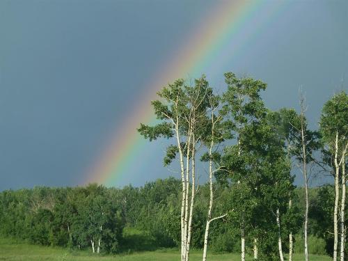 4-420069 Range Road 284, Rural Ponoka County, AB 