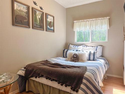 53224 Range Road 61, Rural Parkland County, AB - Indoor Photo Showing Bedroom