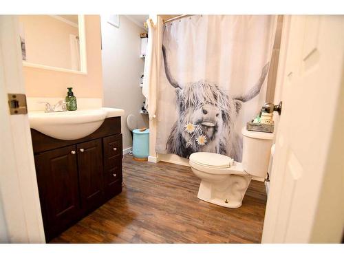 365038 Range Road 5-2, Rural Clearwater County, AB - Indoor Photo Showing Bathroom