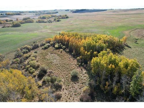 On Range Road 233, Rural Ponoka County, AB 