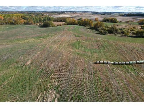 On Range Road 233, Rural Ponoka County, AB 