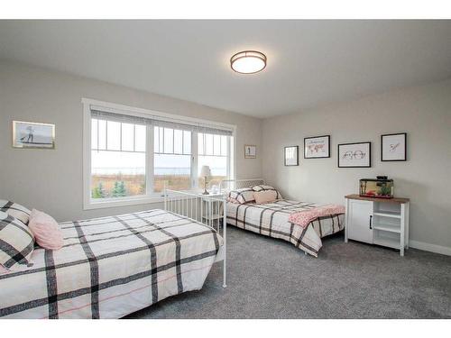 652 Bridgeview Road, Rural Ponoka County, AB - Indoor Photo Showing Bedroom