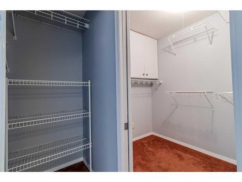 125 Chappel Drive, Red Deer, AB - Indoor With Storage