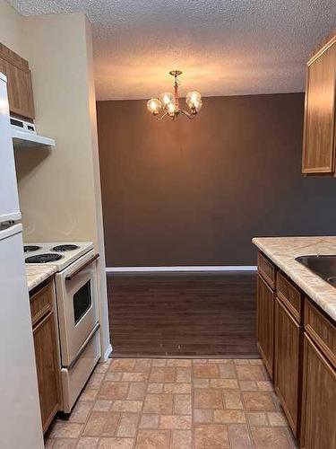 206-49 Bennett Street, Red Deer, AB - Indoor Photo Showing Kitchen