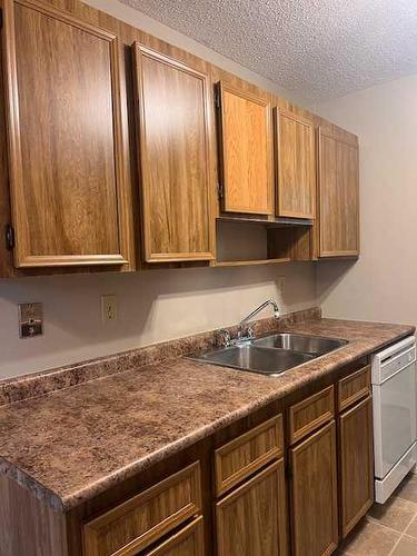 102-49 Bennett Street, Red Deer, AB - Indoor Photo Showing Kitchen With Double Sink