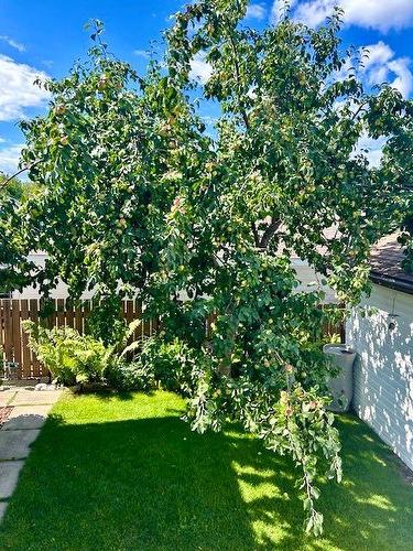 5608 56A Avenue, Rocky Mountain House, AB - Outdoor