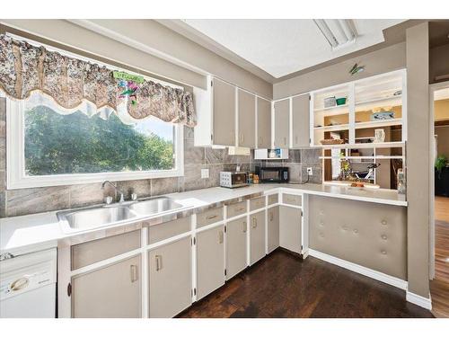 6219 Township Road 490, Rural Brazeau County, AB - Indoor Photo Showing Kitchen With Double Sink