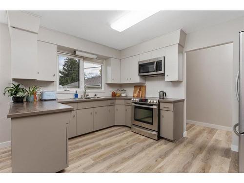 4419 67 Street, Camrose, AB - Indoor Photo Showing Kitchen With Double Sink