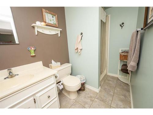 26458 Township Road 382, Rural Red Deer County, AB - Indoor Photo Showing Bathroom