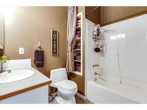 217-36078 Range Road 245 A, Rural Red Deer County, AB - Indoor Photo Showing Bathroom