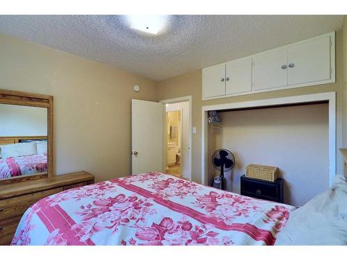 113 Vrolson Road, Bawlf, AB - Indoor Photo Showing Bedroom