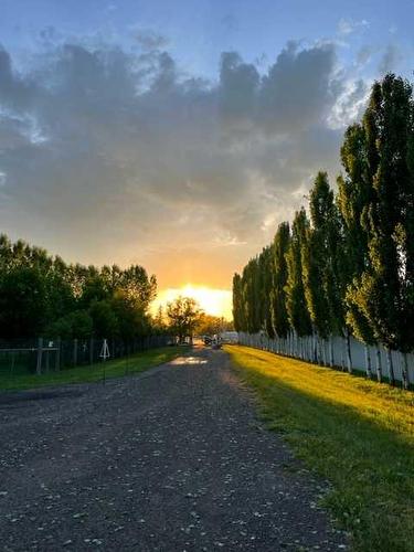 17 Oak Avenue, Okotoks, AB - Outdoor With View