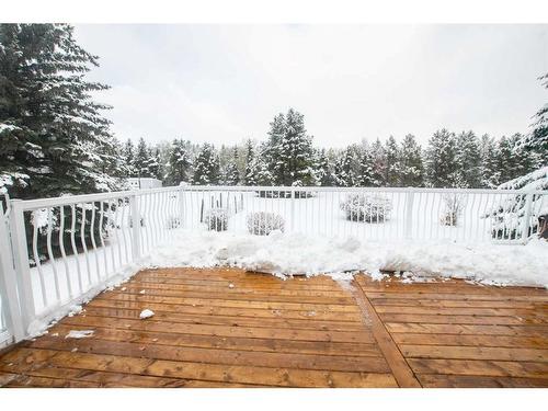 27110 Township Road 395, Rural Lacombe County, AB - Outdoor