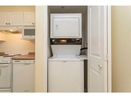 111-56 Carroll Crescent, Red Deer, AB - Indoor Photo Showing Laundry Room