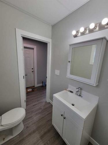 4209 43 Avenue, Red Deer, AB - Indoor Photo Showing Bathroom