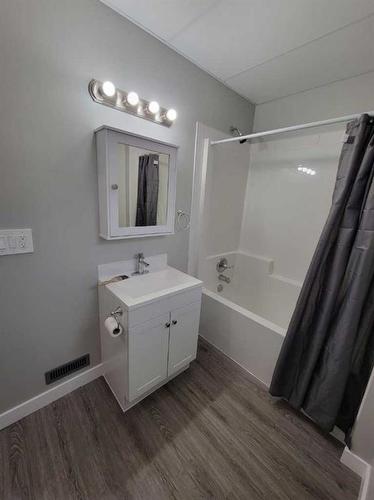 4209 43 Avenue, Red Deer, AB - Indoor Photo Showing Bathroom