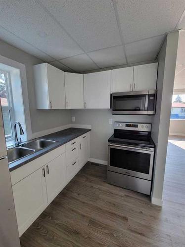 4209 43 Avenue, Red Deer, AB - Indoor Photo Showing Kitchen With Double Sink