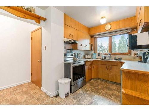 10621 60A Avenue Nw, Edmonton, AB - Indoor Photo Showing Kitchen With Double Sink