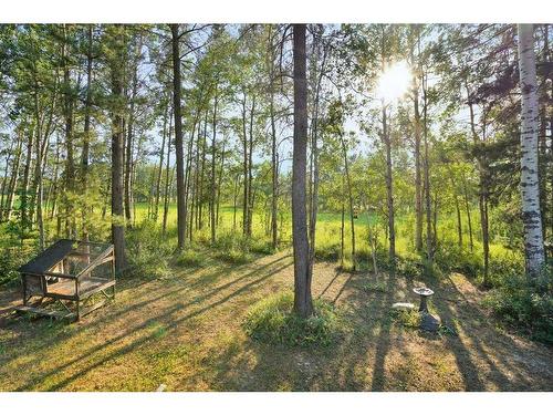 362073 Range Road 5-4, Rural Clearwater County, AB - Outdoor With View