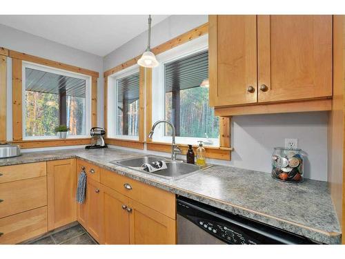 362073 Range Road 5-4, Rural Clearwater County, AB - Indoor Photo Showing Kitchen With Double Sink