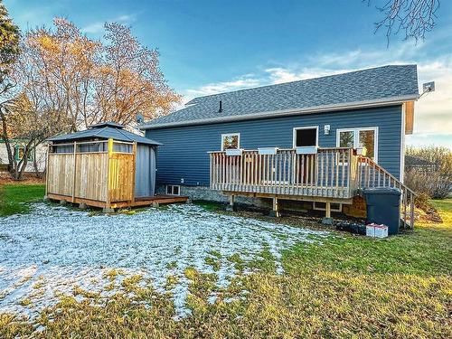 412 4 Avenue, Elnora, AB - Outdoor With Deck Patio Veranda