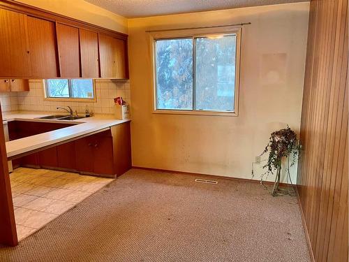 204 Terrace Park, Red Deer, AB - Indoor Photo Showing Kitchen With Double Sink