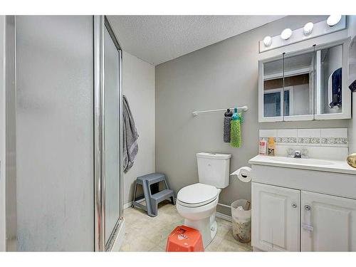 49 Old Boomer Road, Sylvan Lake, AB - Indoor Photo Showing Bathroom