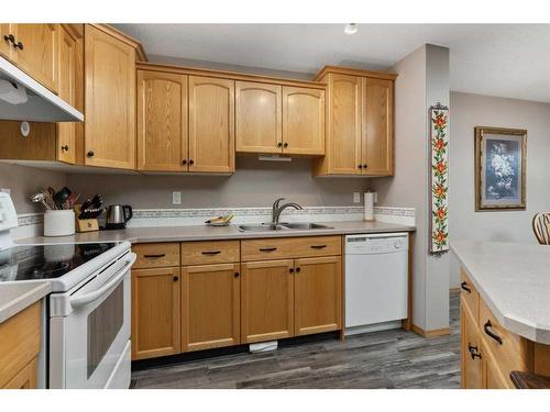 4012 69A Street Close, Camrose, AB - Indoor Photo Showing Kitchen With Double Sink