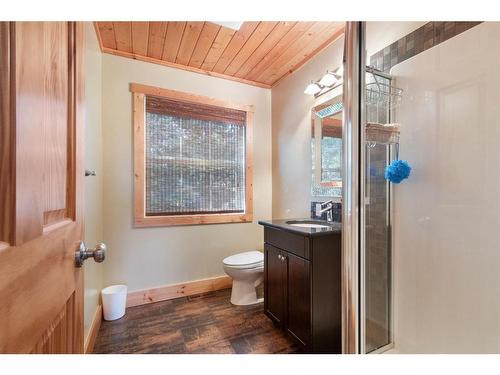 125-25173 Township Road 364, Rural Red Deer County, AB - Indoor Photo Showing Bathroom