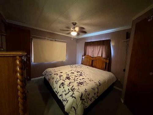 4927 49 Street, Lougheed, AB - Indoor Photo Showing Bedroom