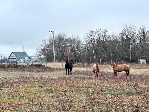 Township Road 40-3, Stettler, AB 